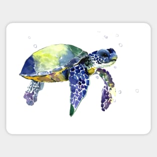 Sea Turtle Sticker